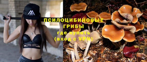 первитин Нягань