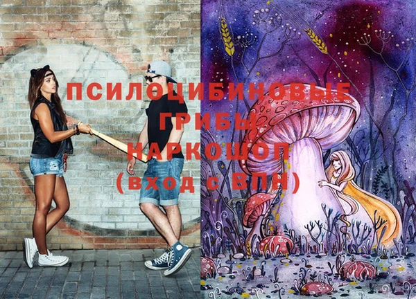 МДМА Няндома