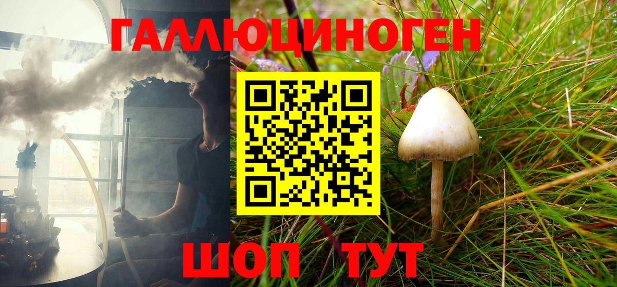 Псилоцибиновые грибы Psilocybe  сколько стоит  Ачинск  Вход с VPN 